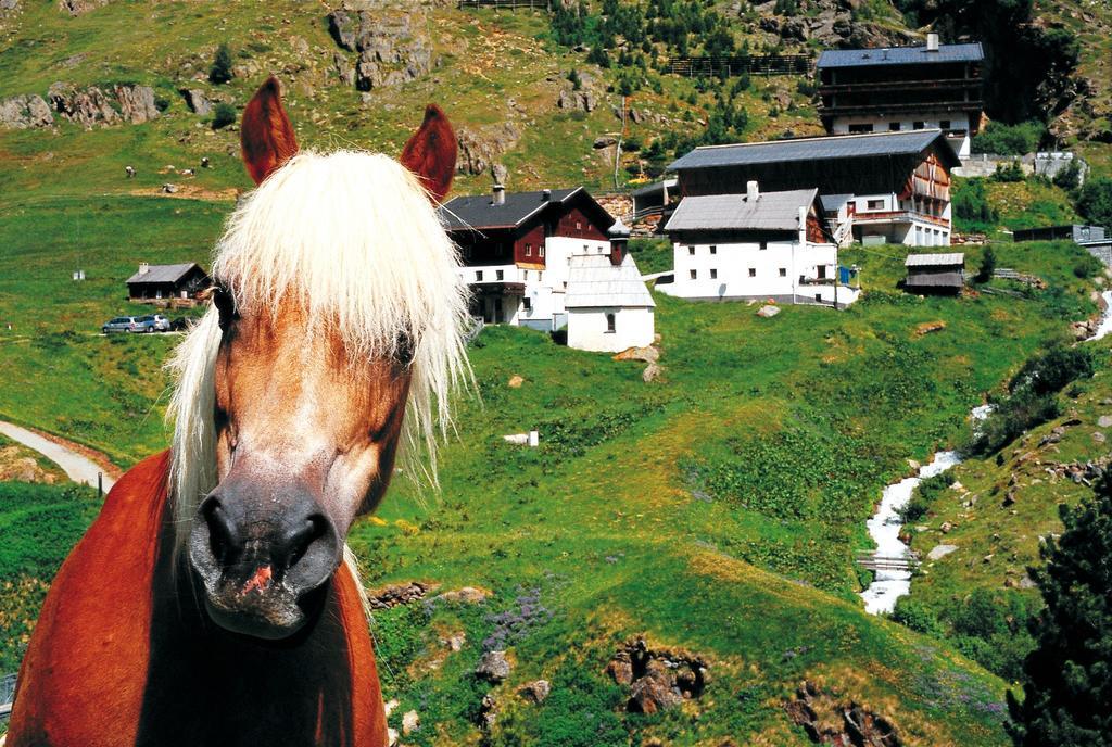 Gasthof Geierwallihof فنت المظهر الخارجي الصورة